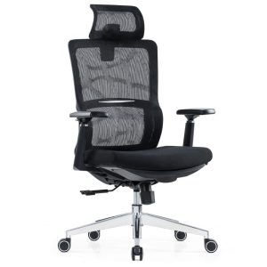 Ghế công thái học GLE02