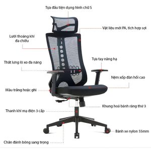 Ghế công thái học B-091D-2