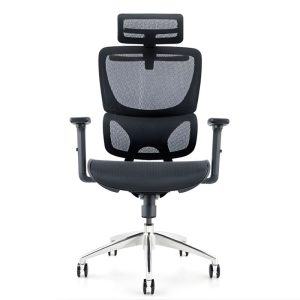 Ghế công thái học B-102B 2