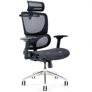 Ghế công thái học B-102B