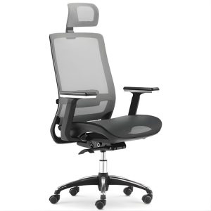 Ghế công thái học BM106-4