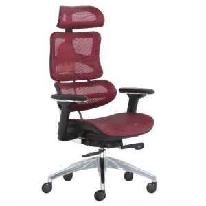 ghế công thái học ERD137