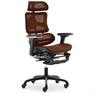 Ghế công thái học ERD187-2