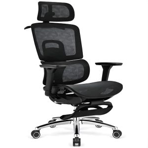 Ghế công thái học ERD668D