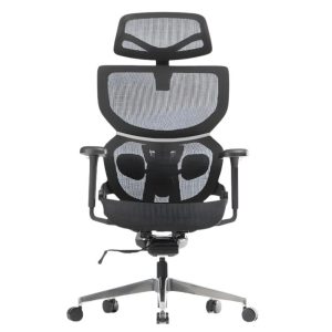 Ghế công thái học ERG01