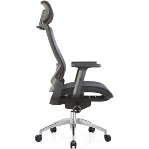 Ghế công thái học ERP826-3