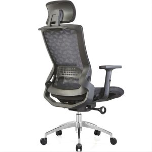 Ghế công thái học ERP826-4