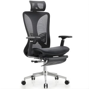 Ghế công thái học