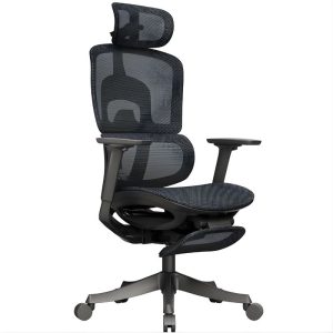 Ghế công thái học ERP829