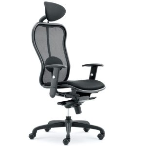 Ghế công thái học RF85