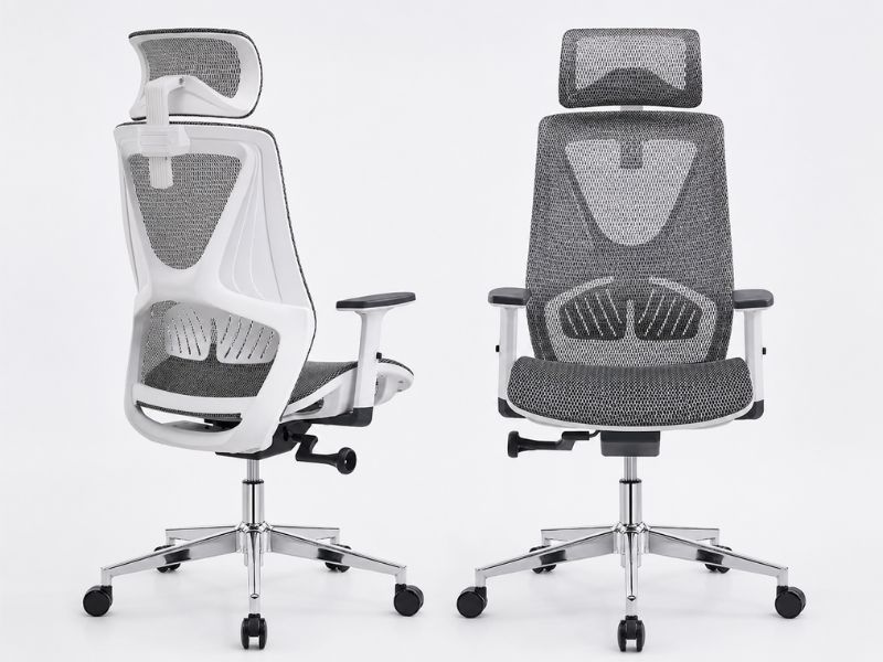 Ghế công thái học A514W