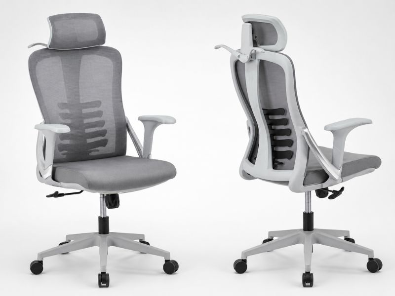 Ghế công thái học GL351