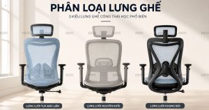 Phân Biệt Các Loại Lưng Ghế Công Thái Học Trước Khi Mua