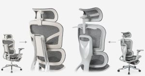 các loại thắc lưng công thái học phổ biến