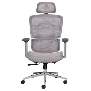 Ghế công thái học BACKPRO-01