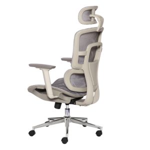 Ghế công thái học BACKPRO-01c